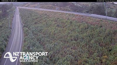 Live webcam in unknown, Naujoji Zelandija