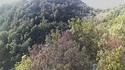 Live webcam in Borgo San Lorenzo, Itàlia