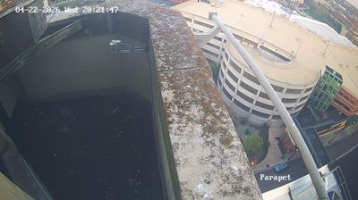 Live webcam in Kalamazoo, Estats Units d'Amèrica