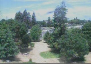 Live webcam in Hayward, United States