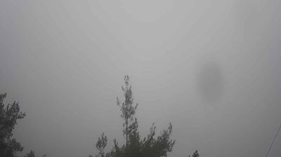 Vavatsinia › North-east