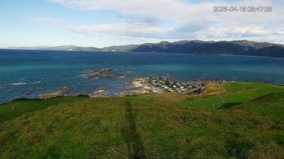 Live webcam in 凯库拉, 新西兰