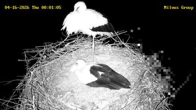 Live webcam in Ernei, Rúmenía