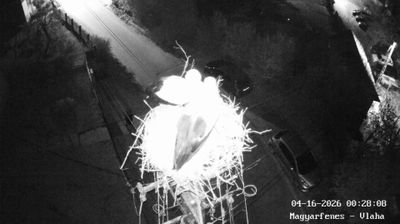 Live webcam in Savadisla, Rúmenía