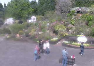 Live webcam in Minamioguni, Japó