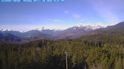 Live webcam in Area A, Canadà