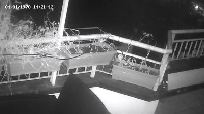 Live webcam in Стара Загора, 保加利亚