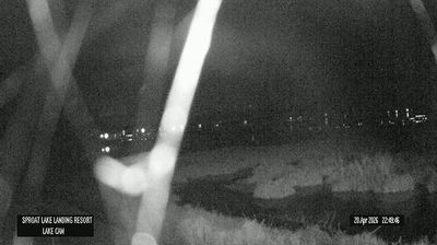 Live webcam in Area D, Canadà