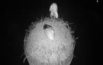 Live webcam in Midden-Drenthe, Países Bajos