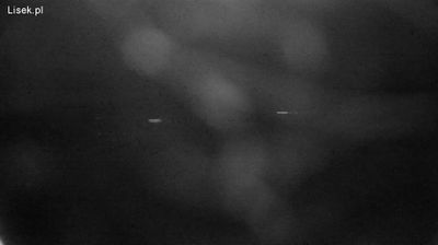 Live webcam in Miedzyrzecz, Polonya