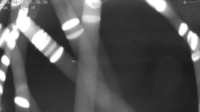 Viseu – Aeródromo