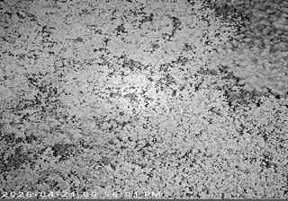 Live webcam in Highlands-Baywood Park, ایالات متحده آمریکا