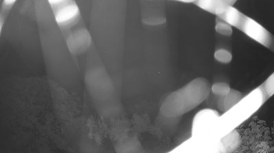 Live webcam in Felines-Minervois, Француска