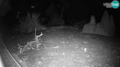 Live webcam in Ljubljana, Eslovènia