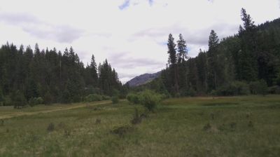 Live webcam in Cove, United States