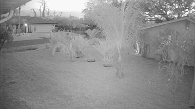 Live webcam in Venice, Estats Units d'Amèrica