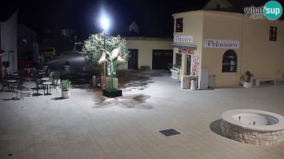 Povljana: center panoramic PTZ web camera