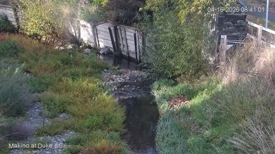 Live webcam in Feilding, 新西兰