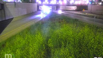 Live webcam in St. Paul, Stany Zjednoczone