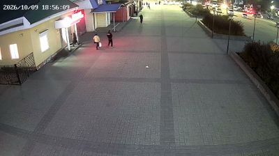 Шелеховское городское поселение: 4-й микрорайон: Площадь ТЦ "Меркурий" и "Дом быта", кам 3