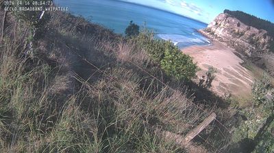Live webcam in unknown, 新西兰