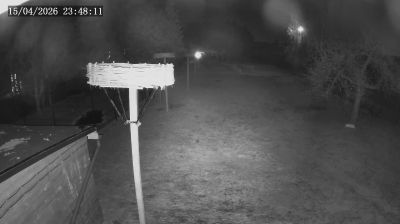 Live webcam in Kozubszczyzna, Lenkija