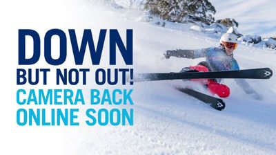 Snowy Monaro Regional Council › ตะวันออกเฉียงเหนือ