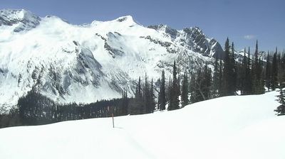 Live webcam in Area D, کانادا