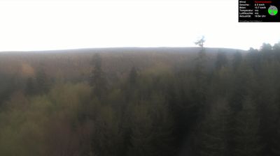 Live webcam in Bad Wildbad, آلمان