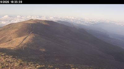 Guimar › North-east