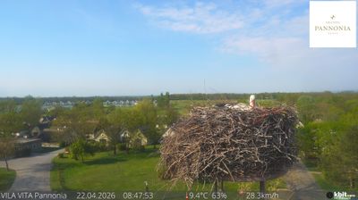 Live webcam in Apetlon, Àustria