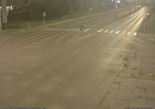 Nyiregyhaza: Bujtos: Nyíregyháza, Szegfű út -> Záhony