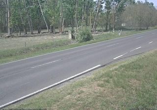 Palmonostora: Kecskemét