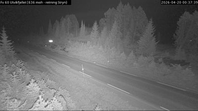 Live webcam in Byrkjelo, Noruega