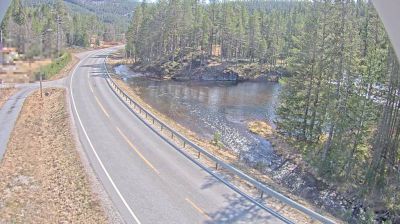 Live webcam in Trydal, Noruega
