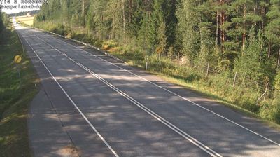 Kokemaki: Tie 2 - Seppälänahde - Poriin