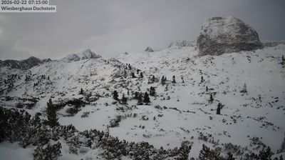 Hallstatt › South-west