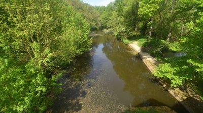 Live webcam in Nesmy, França