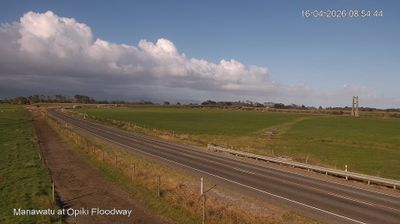 Live webcam in Shannon, 新西兰
