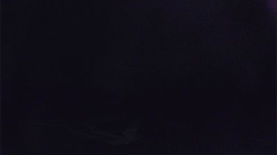 Adventure Bay › Sud-est