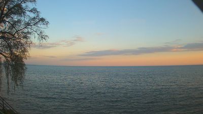 Live webcam in Webster, Estados Unidos da América