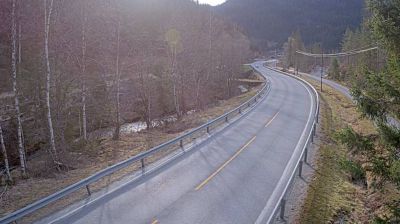 Live webcam in Fenno, Noruega