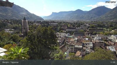 Meran - Merano: Saxifraga