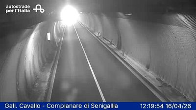 Live webcam in Senigallia, Włochy