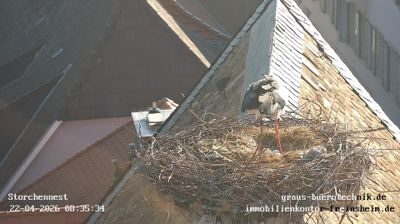 Live webcam in Freinsheim, آلمان