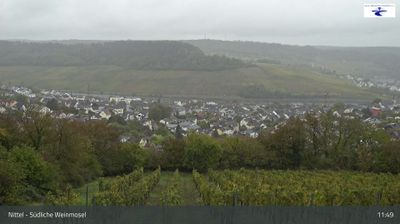 Nittel: Mosel - Südliche Weinmosel