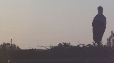 Live webcam in Erlangen, آلمان