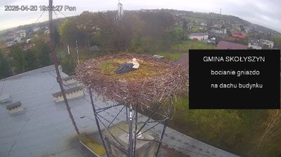 Live webcam in Skolyszyn, Polònia
