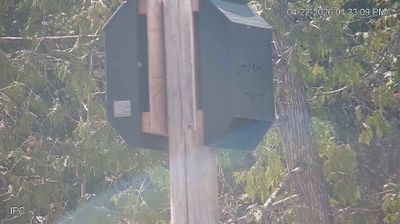 Live webcam in Ely, ایالات متحده آمریکا