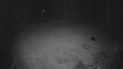 Live webcam in Зеленогорск, ロシア